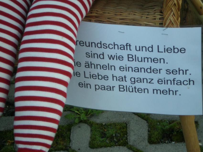 251a Heimatfest 2011 633