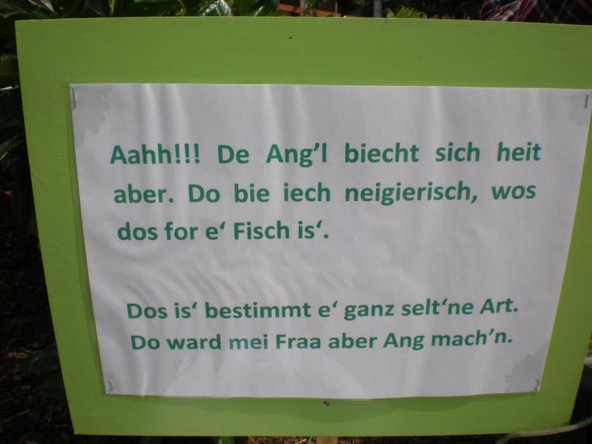 381a Heimatfest 2011 861