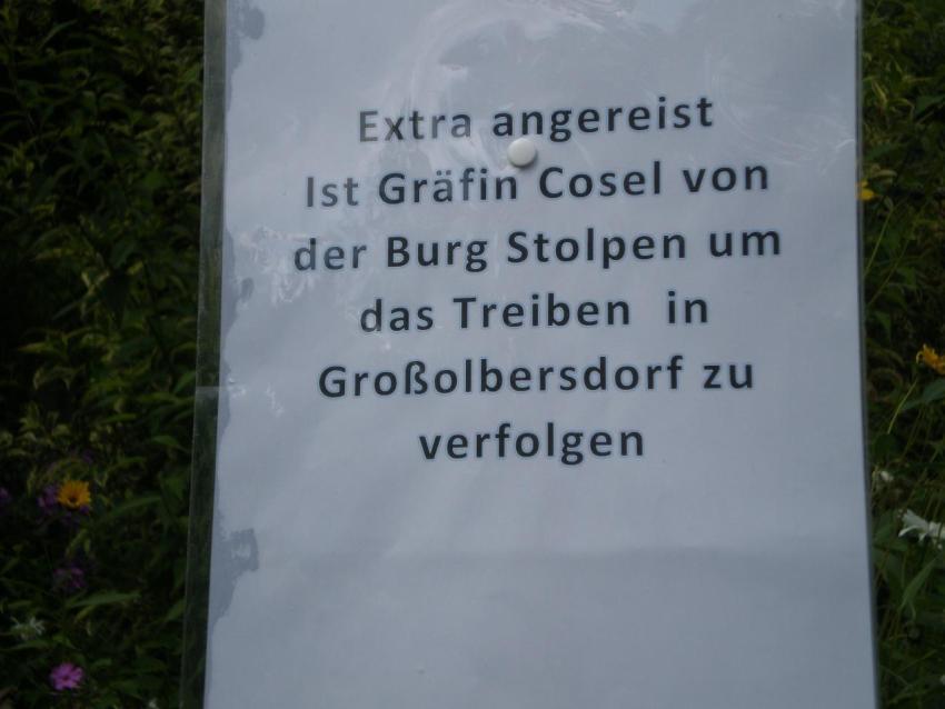 397b Heimatfest 2011 895