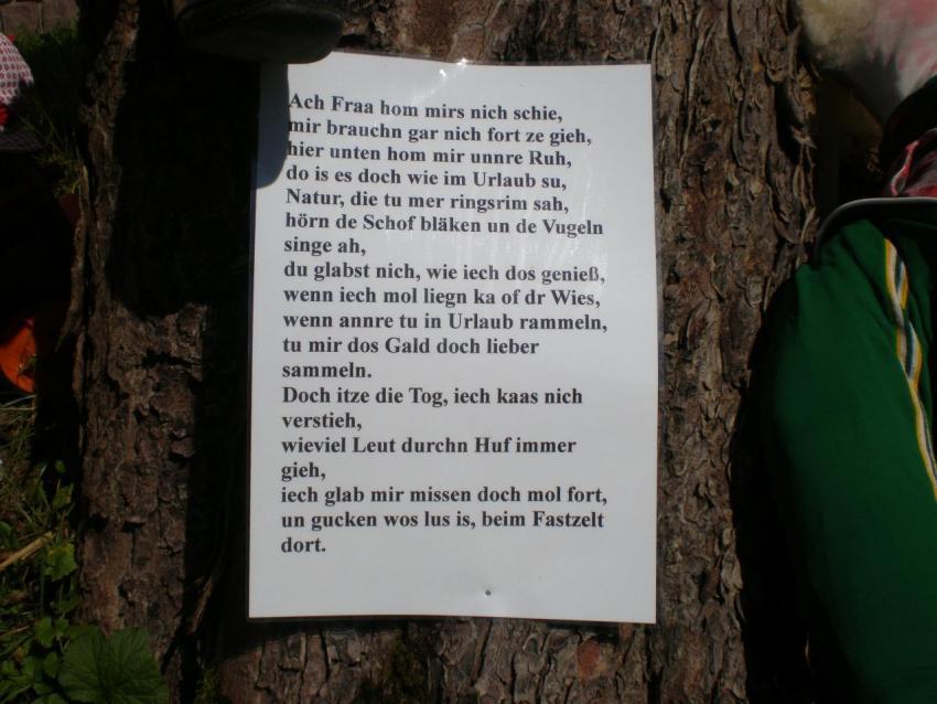 20110820 160456 0057 Heimatfest 2011 547