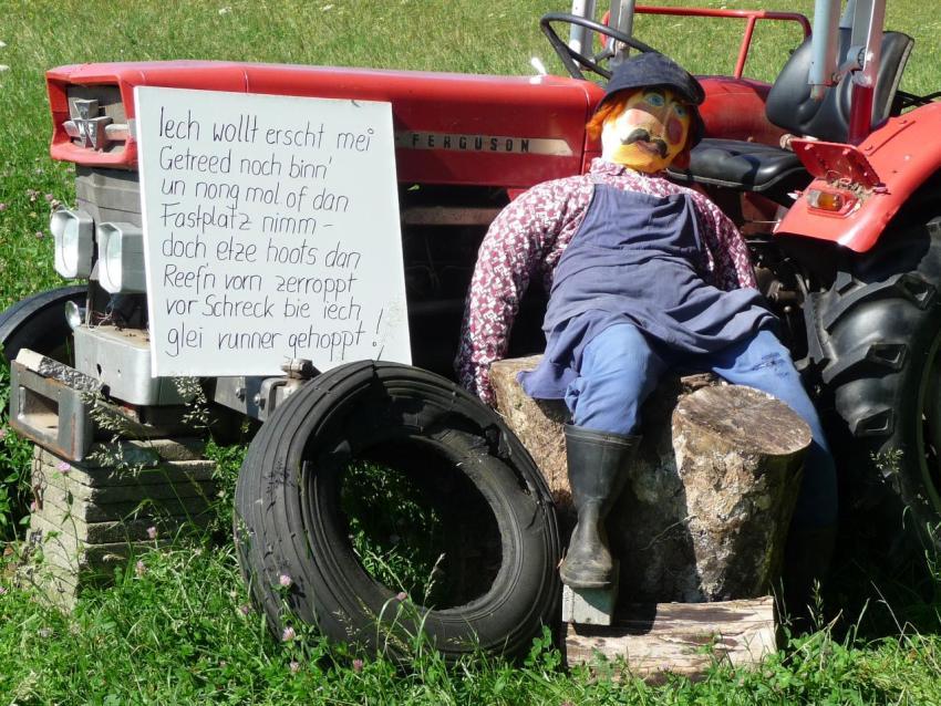 409a Heimatfest 2011 918