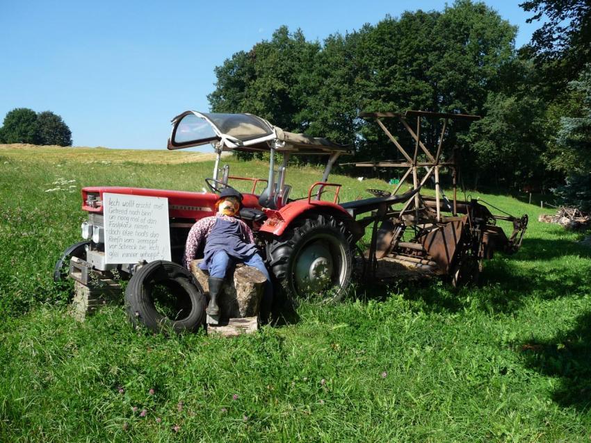 409 (von Dingel Jan u  Kerstin) Wiesengrund 2 Heimatfest 2011 917