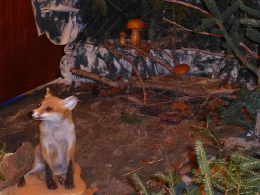 2013 Schnitz und Klöppelausstellung 013