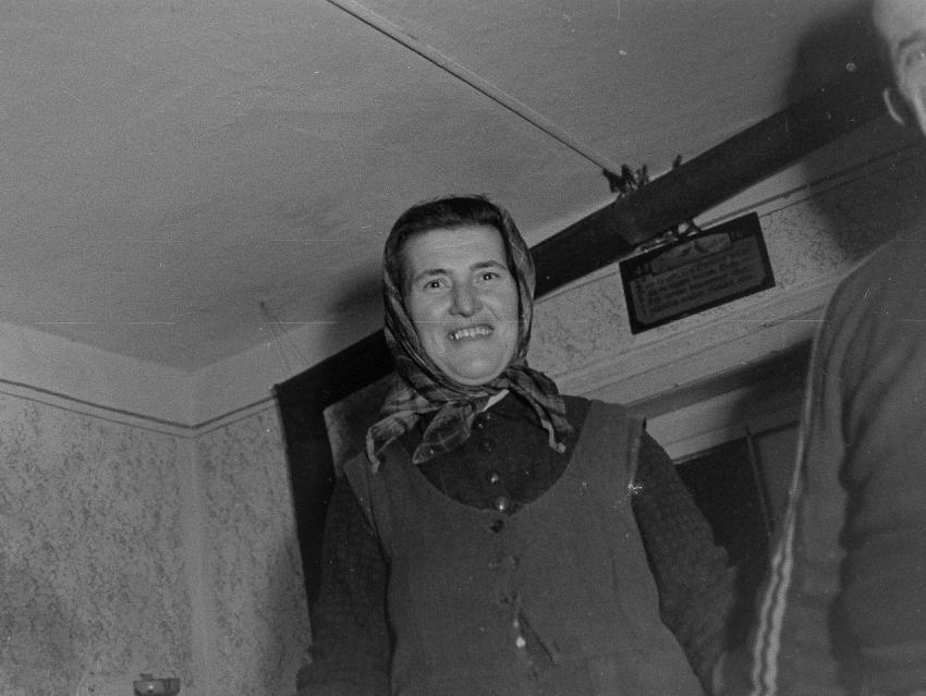 Fotoarchiv Pilz 0146