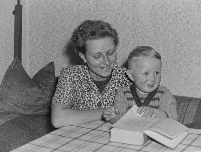 Fotoarchiv Pilz 0089