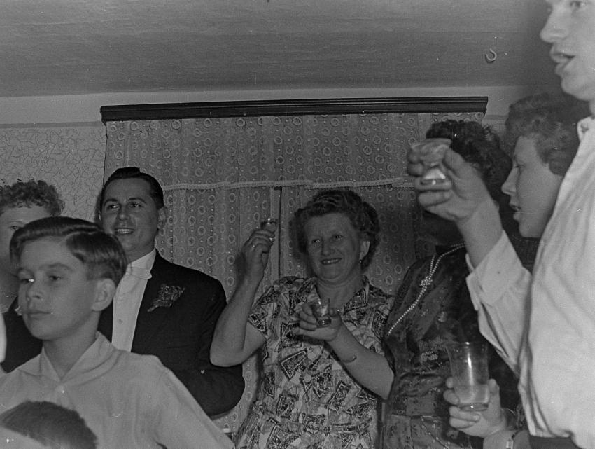 Fotoarchiv Pilz 0173