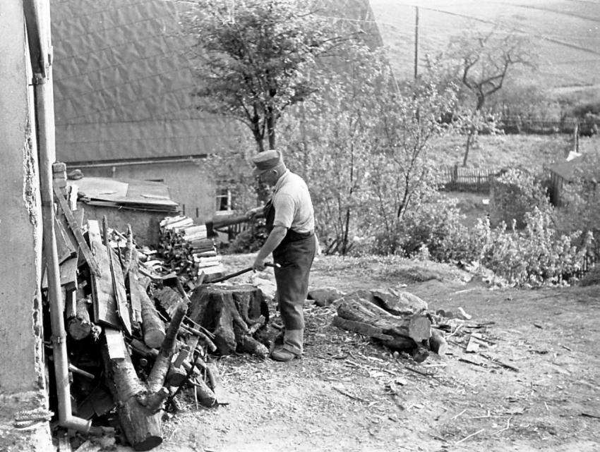 0140 Feuerholz fur Winter