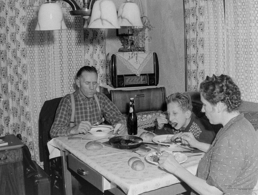 Fotoarchiv Pilz 0012