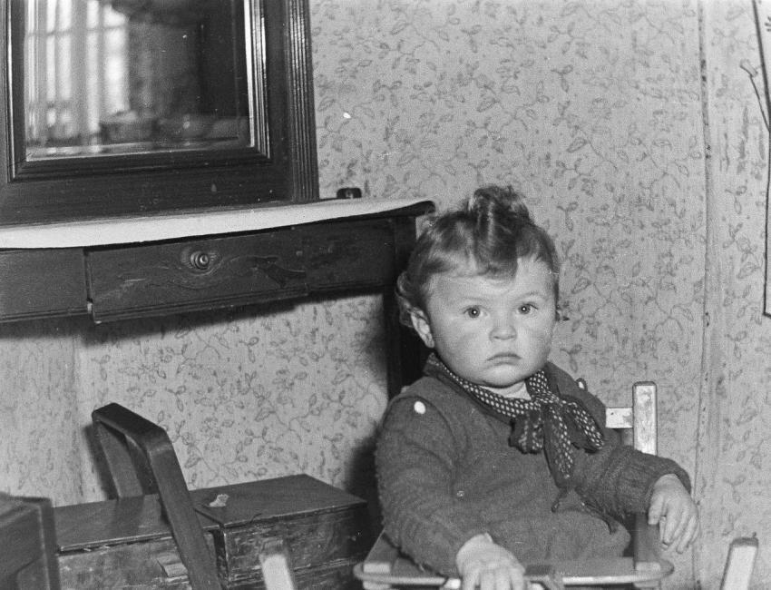 Fotoarchiv Pilz 0096