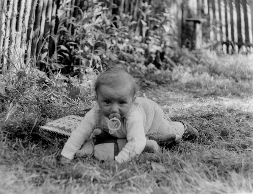 Fotoarchiv Pilz 0081