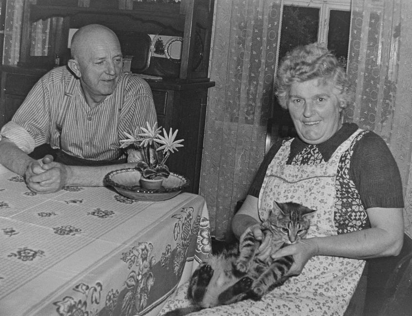 Fotoarchiv Pilz 0139