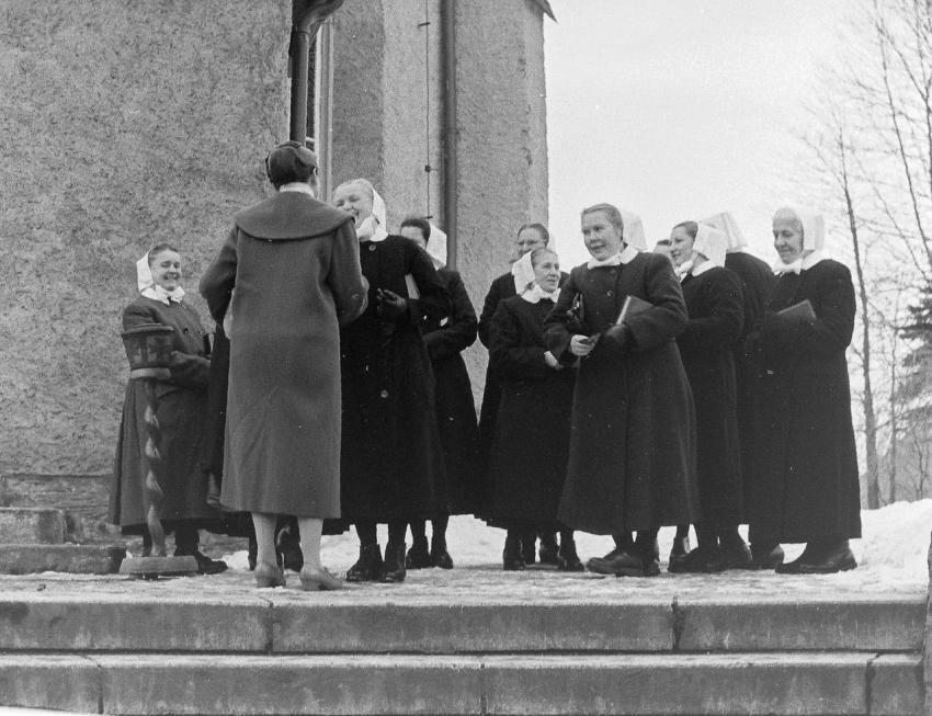 Fotoarchiv Pilz 0111