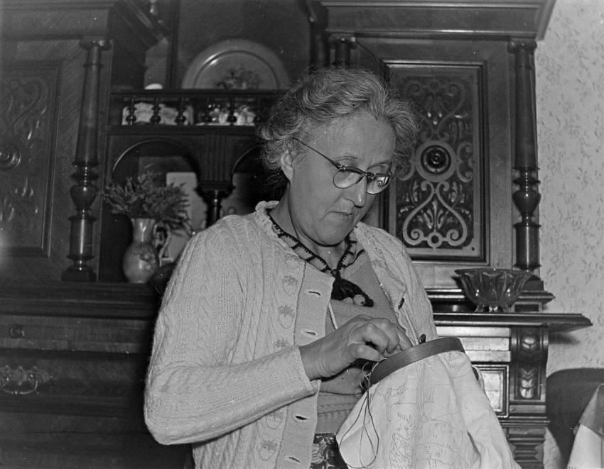 Fotoarchiv Pilz 0144