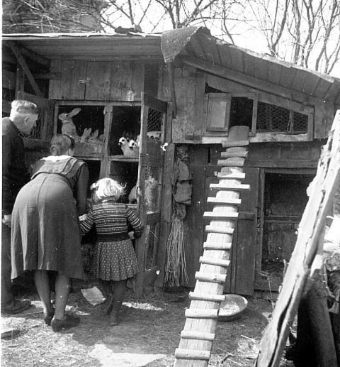183 Johann Wenzel am Hasenstall