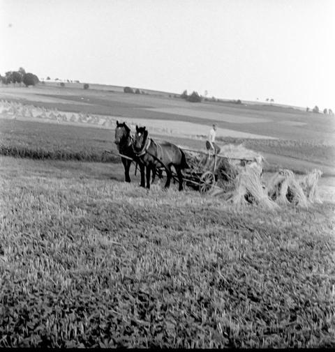 Landwirtschaft  024