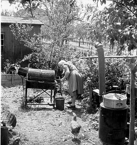 0104  Kartoffelwasche