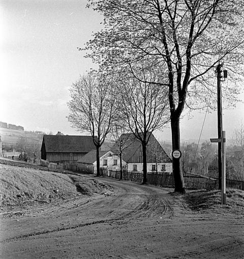0052 Kreuzung Warmbadstrasse im Fruhjahr