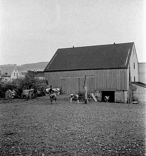 Landwirtschaft  029