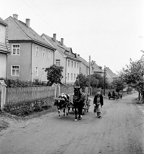 ScharfensteinerStrasse 013