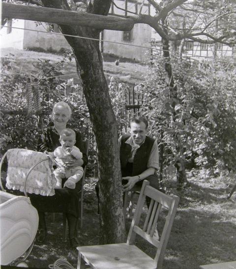 Fotoarchiv Pilz 0046