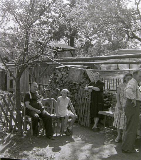 Fotoarchiv Pilz 0045