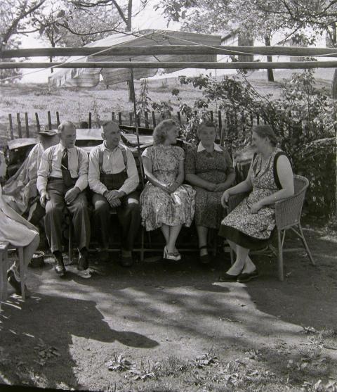 Fotoarchiv Pilz 0047