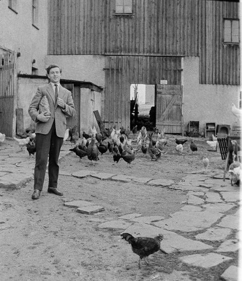 Fotoarchiv Pilz 0105