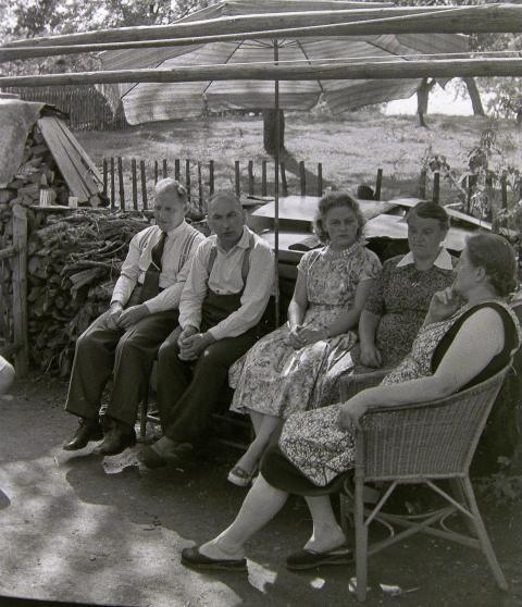 Fotoarchiv Pilz 0048