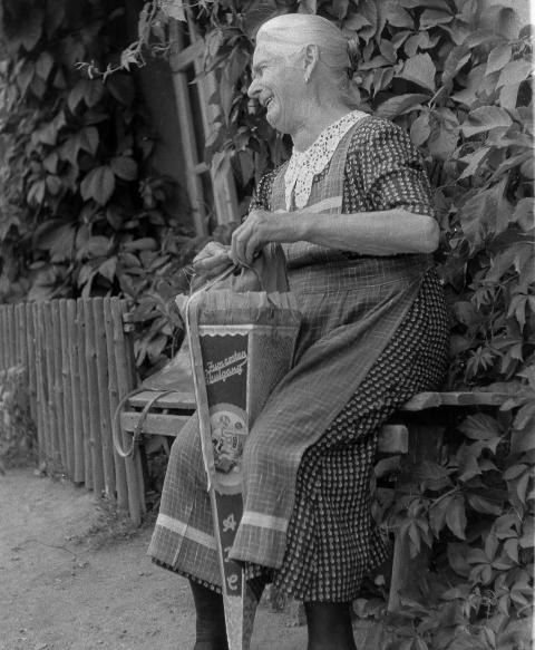 Fotoarchiv Pilz 0025