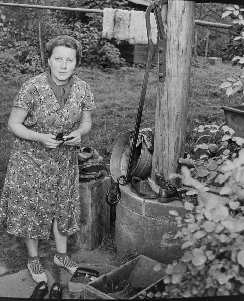 Fotoarchiv Pilz 0107