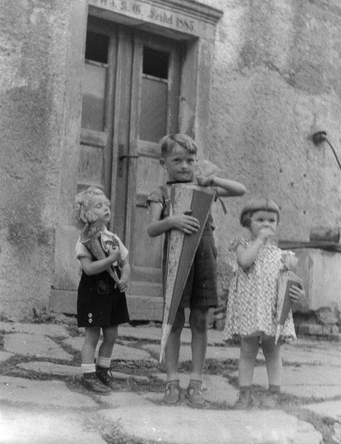 Fotoarchiv Pilz 0074