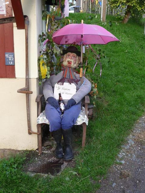 136a Heimatfest 2011 421