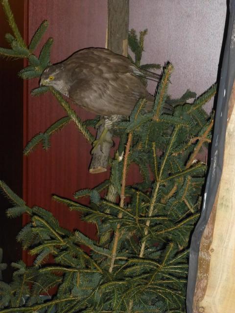 2013 Schnitz und Klöppelausstellung 014