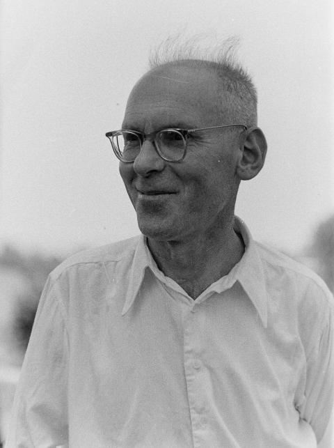 Fotoarchiv Pilz 0086