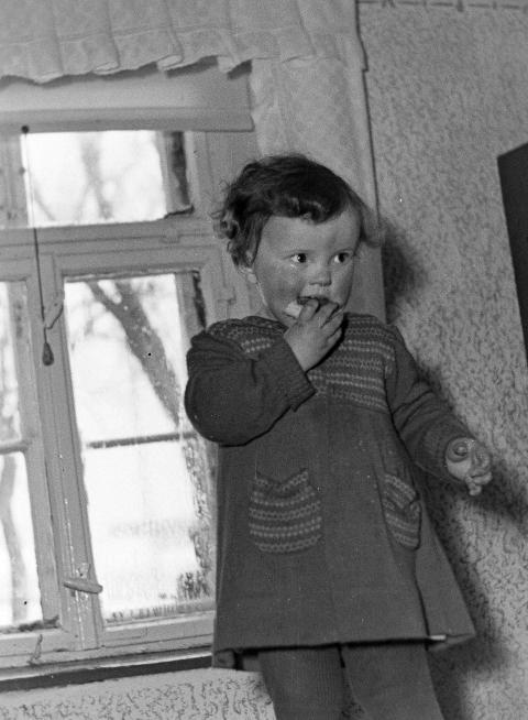 Fotoarchiv Pilz 0016