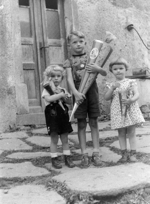 Fotoarchiv Pilz 0075