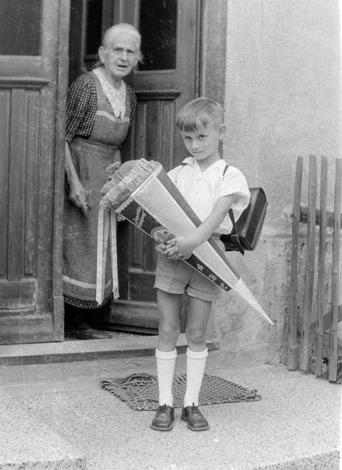 Fotoarchiv Pilz 0028