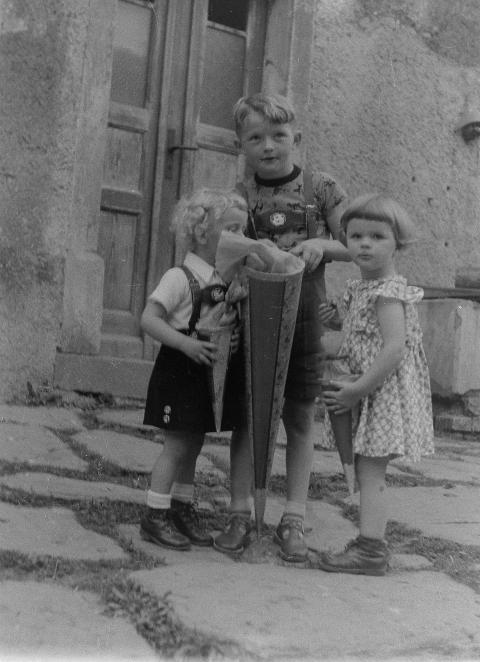 Fotoarchiv Pilz 0072