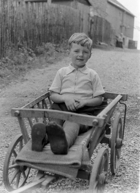 Fotoarchiv Pilz 0026