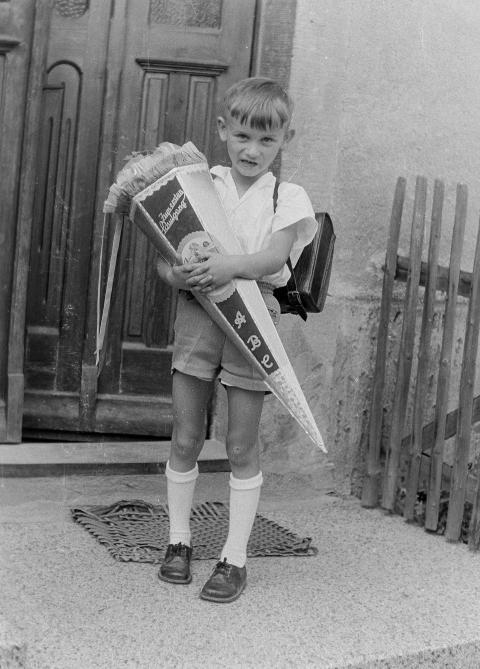 Fotoarchiv Pilz 0029