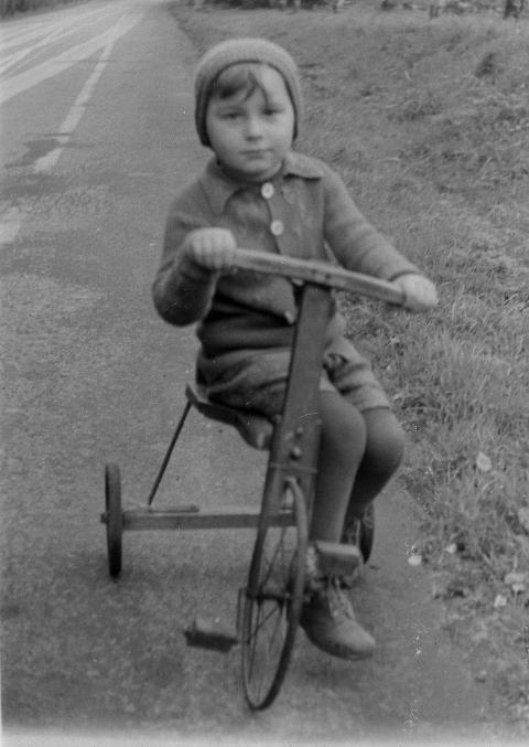 Fotoarchiv Pilz 0011