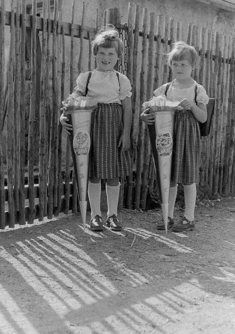 Fotoarchiv Pilz 0030