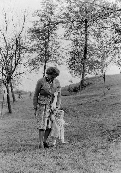 Fotoarchiv Pilz 0088