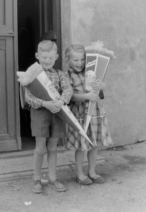 Fotoarchiv Pilz 0033