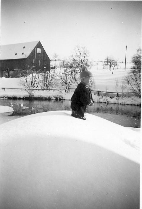 Ehem  Gerichtsteich 005