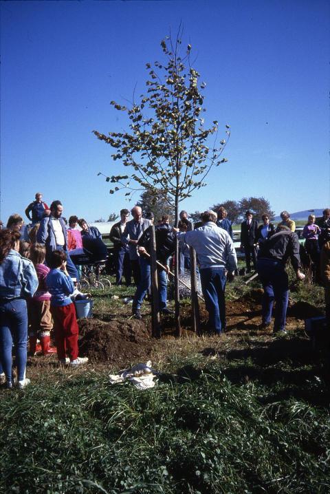 1990 Richterlinde 024