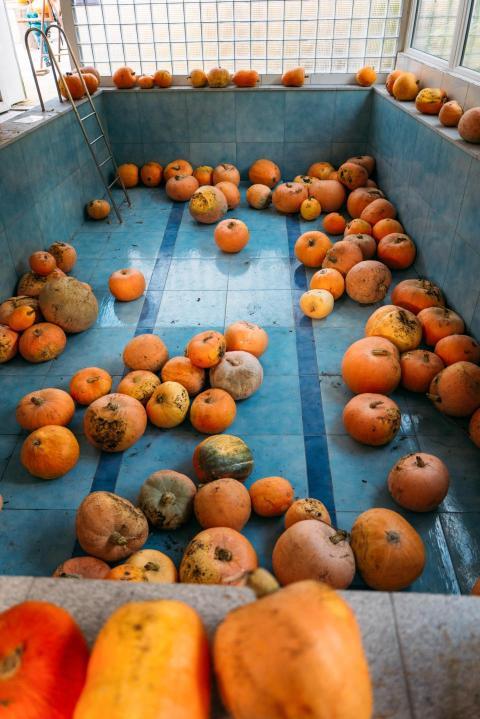 Kürbisschnitzen 14 10 2023  01