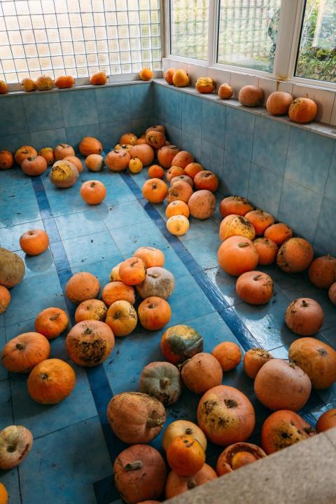 Kürbisschnitzen 14 10 2023  02