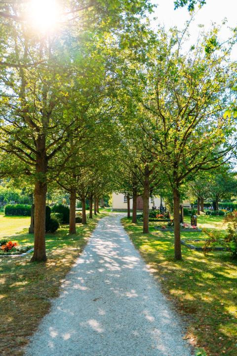 TagoffenesDenkmal  08