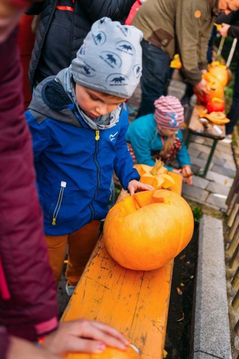 Kürbisschnitzen 14 10 2023  10